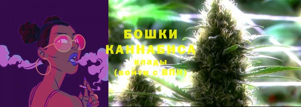 мяу мяу мука Бородино