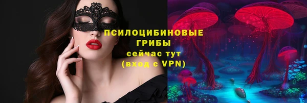 мяу мяу мука Бородино