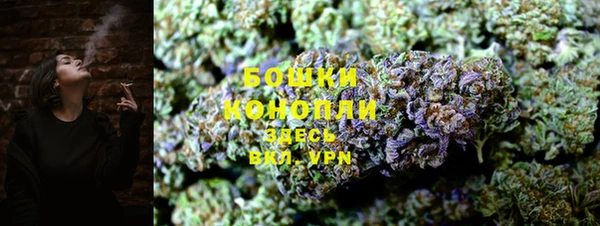 мяу мяу мука Бородино