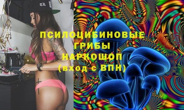 герыч Бронницы